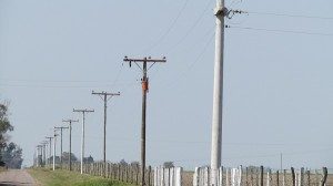 LA EPE ABRIÓ LOS SOBRES PARA CONSTRUIR UNA LÍNEA ELÉCTRICA EN LA ZONA RURAL DE ALEJANDRA