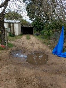 Retrocedió y chocó a su esposa