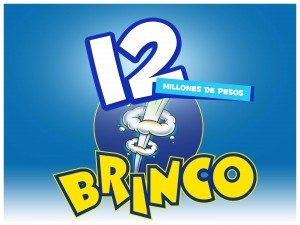 12 brinco