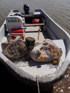Los Pumas 23 - 09 - 18