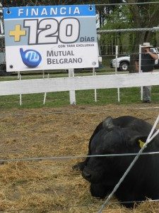 Mutual Belgrano Financia - RURAL San Javier
