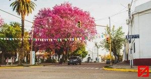 ORNAMENTACIÓN Y COLORES PARA RECIBIR LA PRIMAVERA