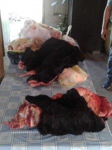 Policiales 21 - 09 - 18