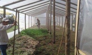 Vivero Inclusivo - Helvecia