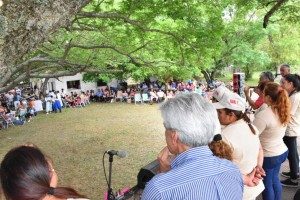 Baucero en Colonia Teresa