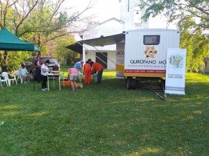 SE CASTRARON 30 MASCOTAS EN BARRIO SAN ANTONIO 