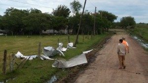 Temporal en Colonia Teresa 5