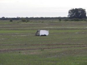 Temporal en Colonia Teresa 9