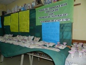 CIERRE DEL PROYECTO EDUCACIÓN VIAL Y FERIA DE CIENCIA 4