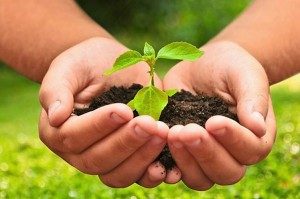 IMPORTANTE JORNADA DE AGROECOLOGÍA EN SAN JAVIER