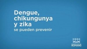 dengue - Romang