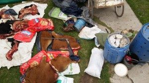 Abigeato 15 - 12 - 18