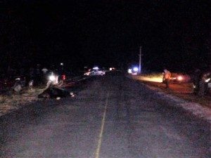 UN AUTOMÓVIL EMBISTIÓ A UN CABALLO - UN LESIONADO