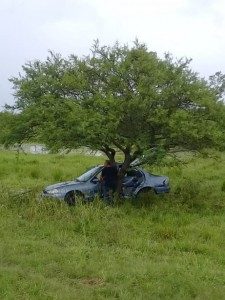 Accidente Alejandra 13 - 01 - 19 - 1