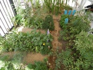 CENTRO DE DÍA HABILITÓ PILETA DE NATACIÓN - huerta