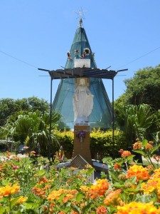 COSECHANDO LAS BUENAS ACCIONES