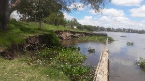 Costanera 20 - 01 - 19