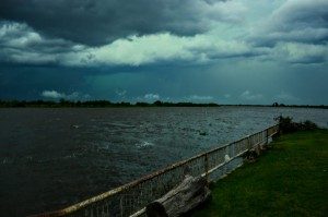 FRENTE DE TORMENTA - FERNANDO NINI