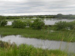 SITUACIÓN LÍMITE PARA LAS PRODUCCIONES EN LOS DEPARTAMENTOS GARAY Y SAN JAVIER 1
