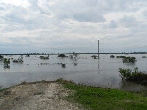 SITUACIÓN LÍMITE PARA LAS PRODUCCIONES EN LOS DEPARTAMENTOS GARAY Y SAN JAVIER 3