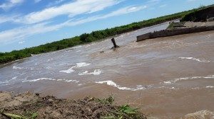 VIALIDAD TRABAJA PARA EVITAR EL COLAPSO DE OTRA ALCANTARILLAS DE LA RUTA 1 - 2
