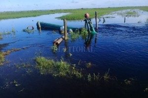 ARROZ - CON ESTAS PERSPECTIVAS VAN A QUEDAR MUCHOS PRODUCTORES EN EL CAMINO