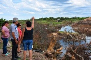 Baucero - Colonia Teresa
