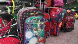 CANASTA ESCOLAR 2019 - 2