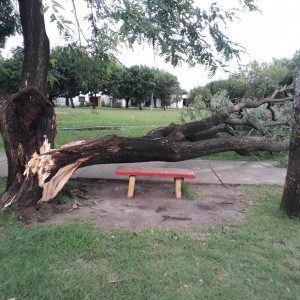 Tormenta 11 - 02 - 19 - 3