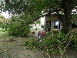 Tormenta 11 - 02 - 19 - 4