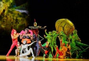 CIRQUE