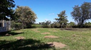 INCENDIO DE PASTOS EN CERCANÍAS DE UNA ESCUELA EN COLONIA FRANCESA